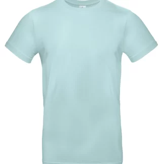 B&C #E190 - MILLENIAL MINT