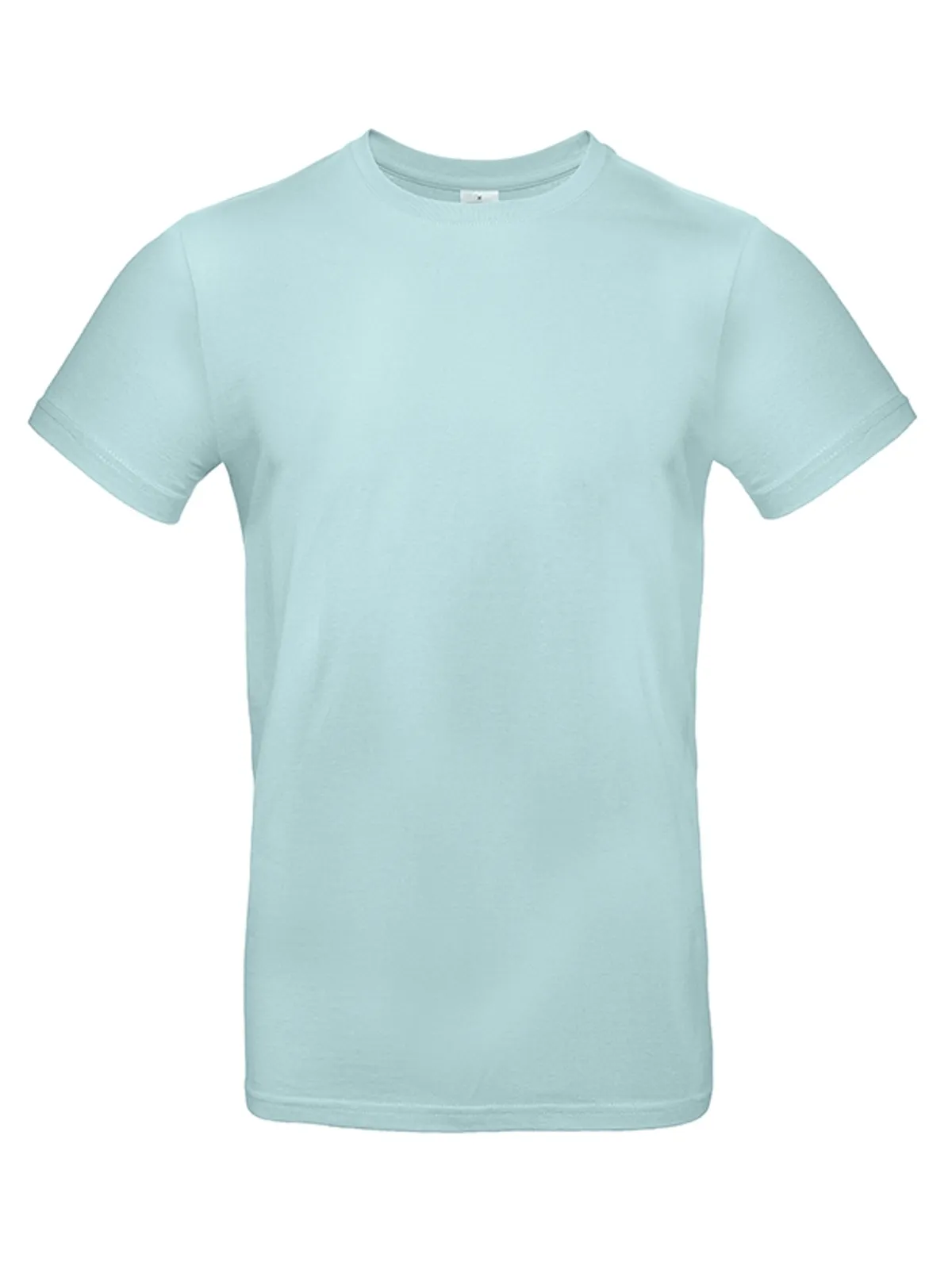 B&C #E190 - MILLENIAL MINT