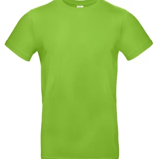 B&C #E190 - ORCHID GREEN